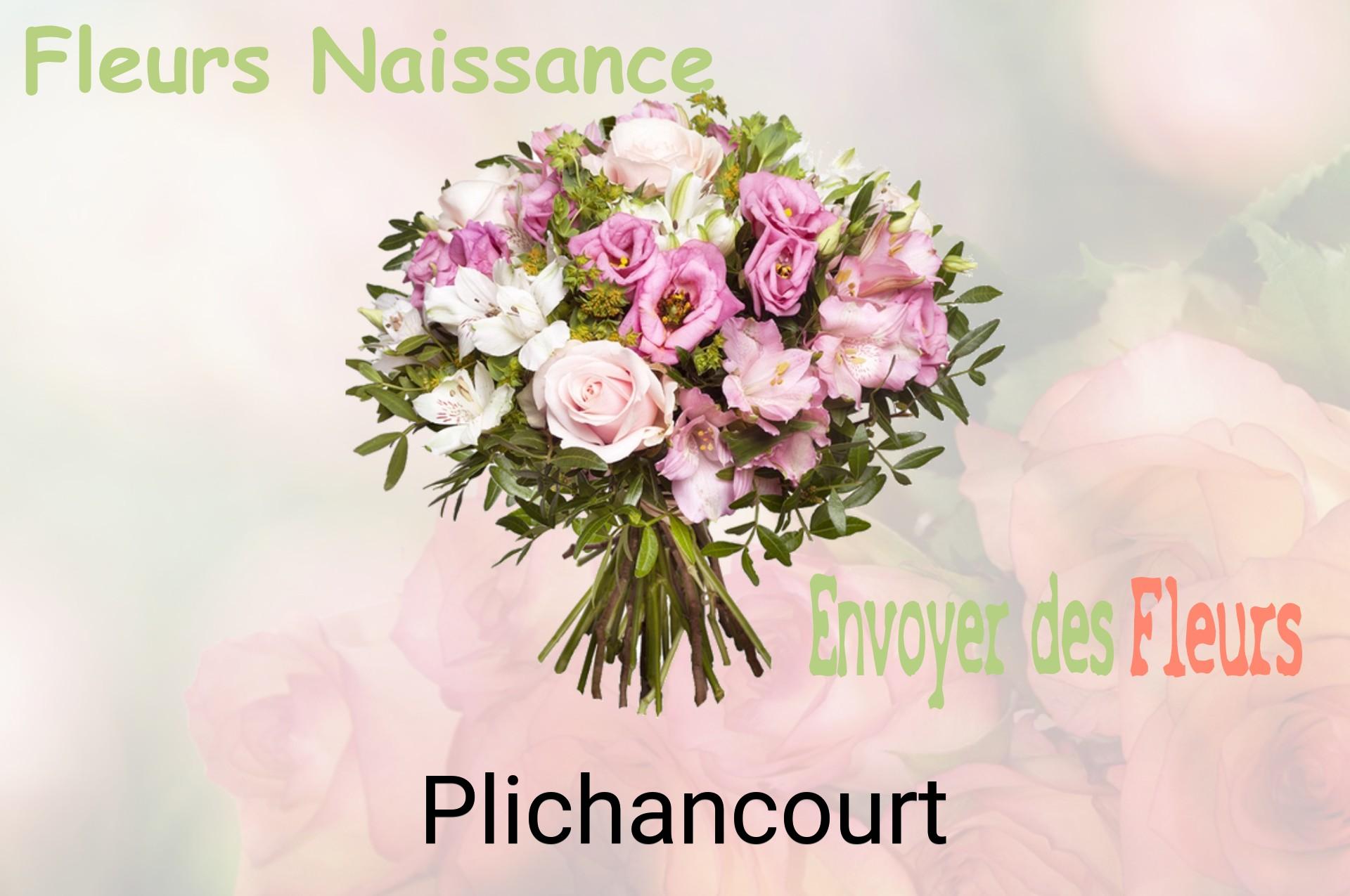 Bouquet de fleurs de naissance livré à Plichancourt